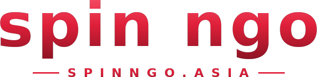 spin ngo logo